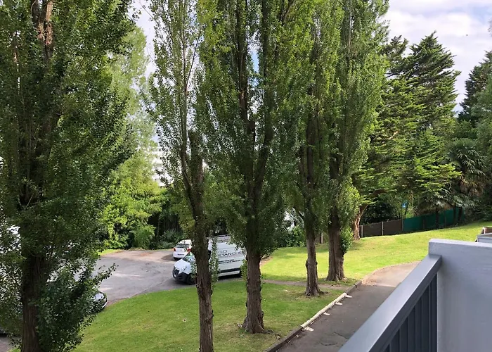 T4 Magnolias * Bayona